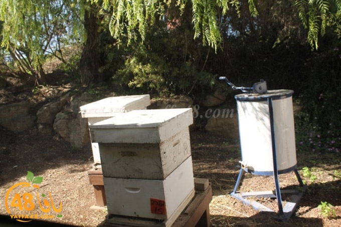 re7la janob (26).JPG